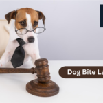 dog bite lawsuit